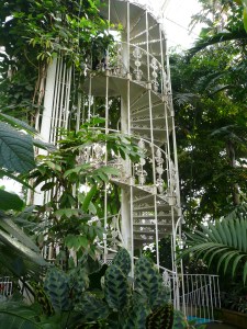EM Castellan - Kew Gardens - Inside the Palm House