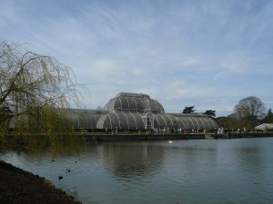 EM Castellan - Kew Gardens - Palm House