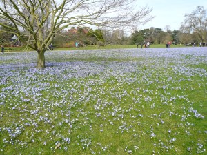 EM Castellan - Kew Gardens