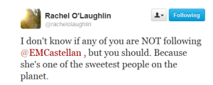 EM Castellan-Tweet2